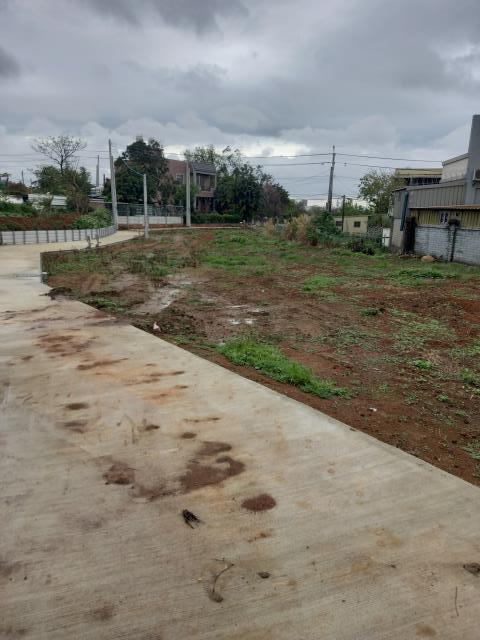 桃園平鎮農地-3